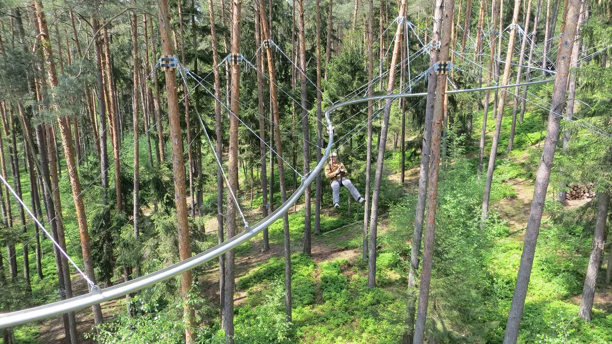 Person riding along a suspended track through a pine forest